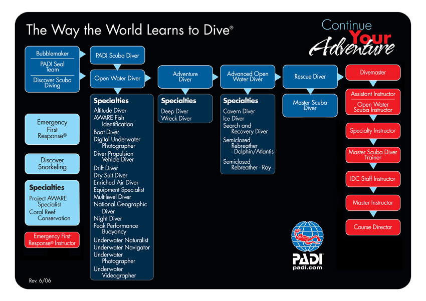 PAADI Flow Chart